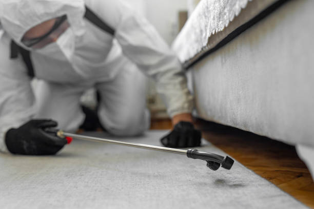 Professional Cockroach Control technician working in Briggs, OK